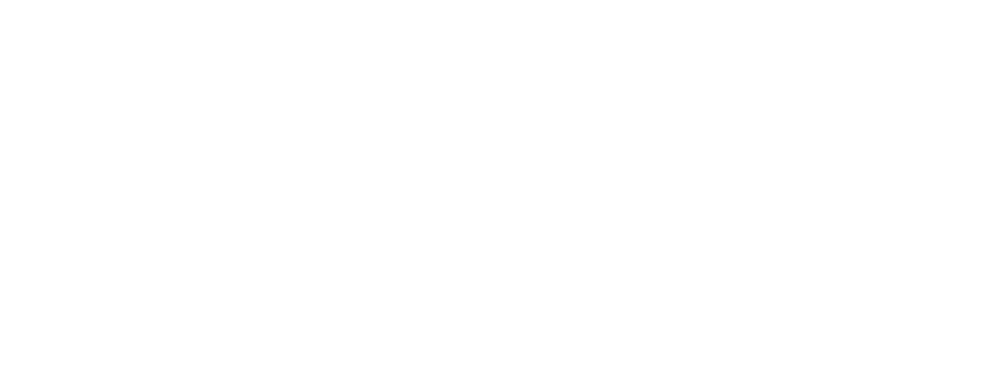 Racechips